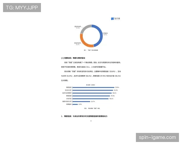 足球周边商品市场迎来新热潮，球迷文化推动销量激增趋势分析
